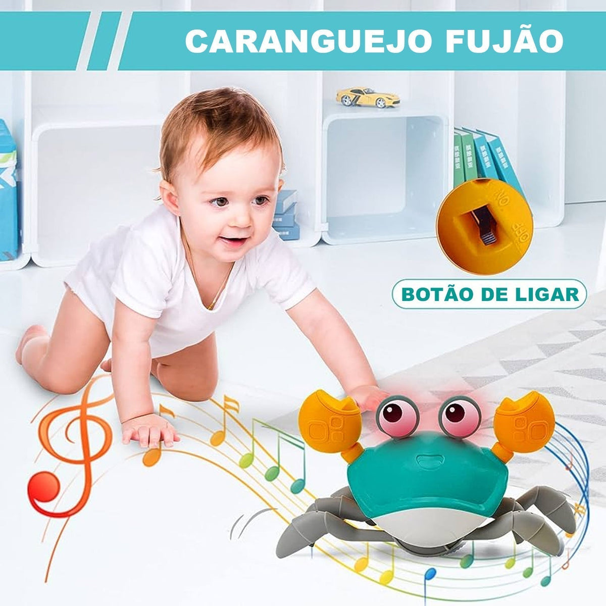Caranguejo Fujão com Iluminação
