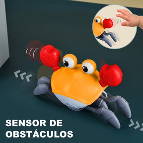 Caranguejo Fujão com Iluminação